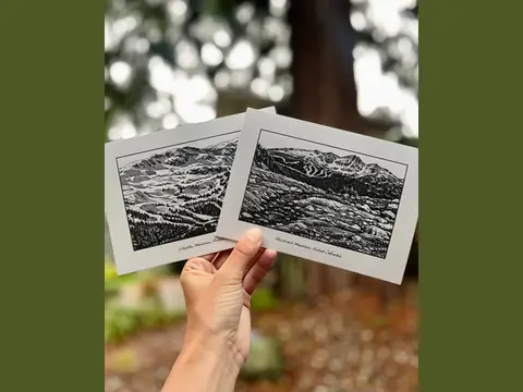 Cedar Palace Paper Co. product photo